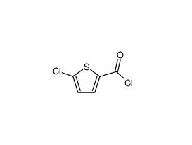 5-Chlorothiphene-2-Carbonylchloride; 5-Chloro-2-Thiophenecarbonyl Chloride CAS: 42518-98-9 High-Quality Rivaroxaban Intetmediate GMP/Cep Plant